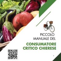piccolo manuale cons crit chieri